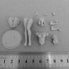 1/24 Scale Resin Figure Model
