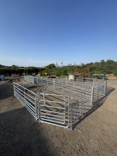 Sheep handling system brand - handling,