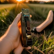 Wainwright’s Dog’s Best