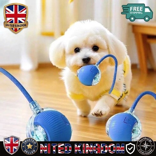 Smart interactive cat toy - smart, ball