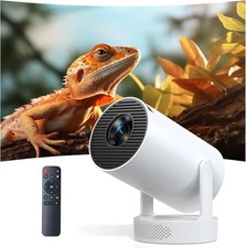 High Brightness 4K Office Home