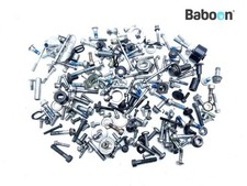 Bolts and Nuts Suzuki DL 650