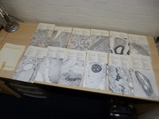 EMPI Electron micrograph The