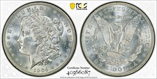 1904-O MS63 PCGS MORGAN SILVER DOLLAR PCGS Gold shield Listing for 1 of 8 coins