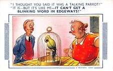 POSTCARD  COMIC  WIFE HUSBAND TALKING PARROT   # 1093