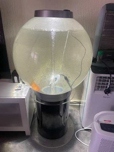 Biorb 105l aquarium fish - aquarium,