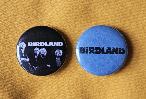 Birdland birmingham indie - (birmingham,