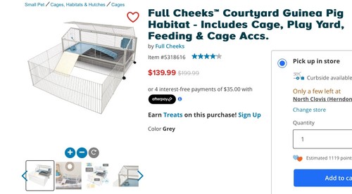 Guinea pig cage with - guinea,
