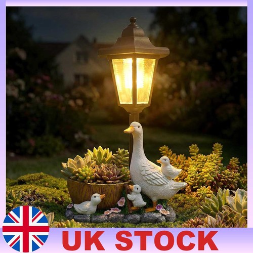 Garden duck statues with - duck,