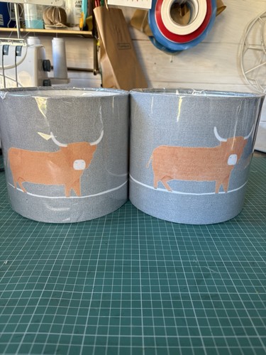 Voyage dougal highland cows - dougal,