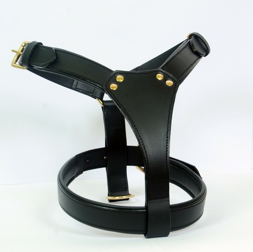 Leather dog harness - harness, )