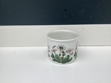 PORTMEIRION BOTANIC GARDEN POT