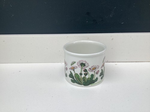 Portmeirion botanic garden pot - botanic,