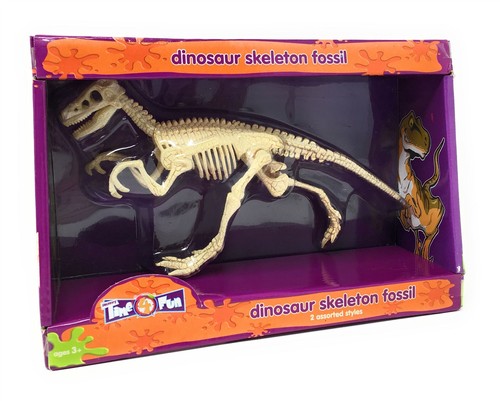 Dinosaur skeleton fossil - skeleton,