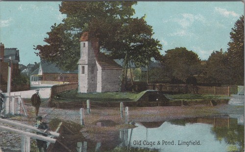 Surrey postcard lingfield - -,