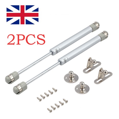 Gas strut stay cabinet - strut, door