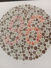 Ishihara Test Book 38 Plates