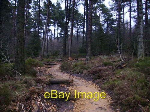 Photo 6x4 new - 6x4, mountain
