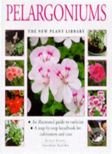 Pelargoniums step by - a, step-by-step