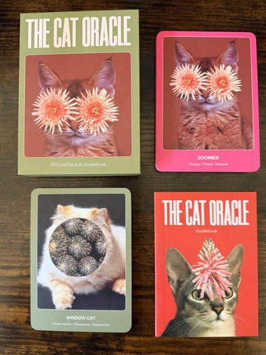 The cat oracle - the,