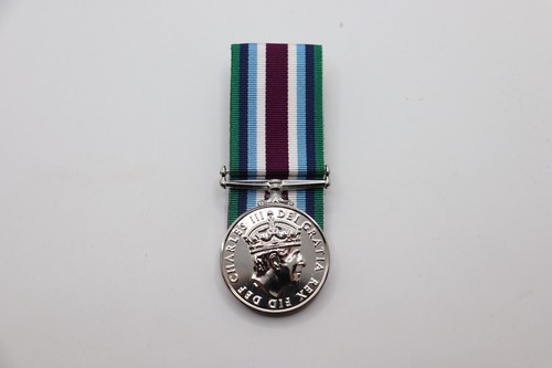 Official wider service medal - official,