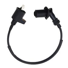 2 Pin Ignition Coil Module Compatible with Honda GY6 4 Stroke 50cc 150cc