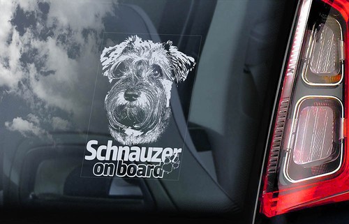 Schnauzer car sticker - car,