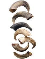 Natural Dog Treat Lamb Horn