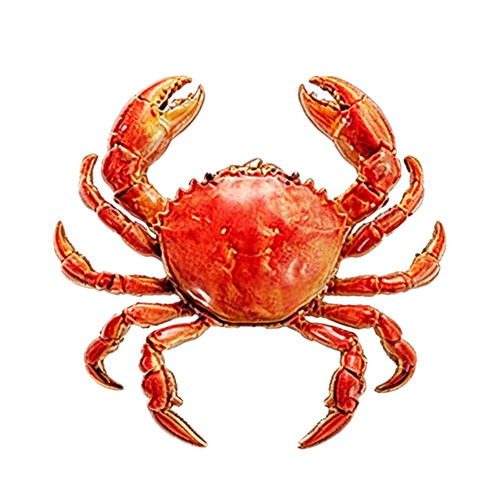 Patriotic usa 250 crab - patriotic, brooch