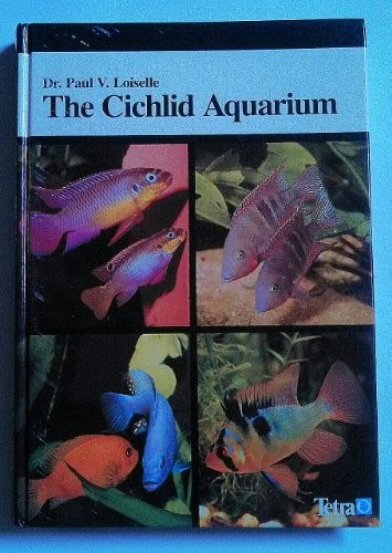 Cichlid aquarium paul - aquarium-paul, v