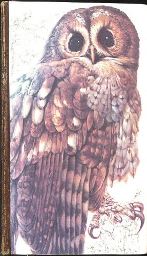 Book british birds - of,