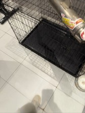 Pro Circuit Titanium Exhaust