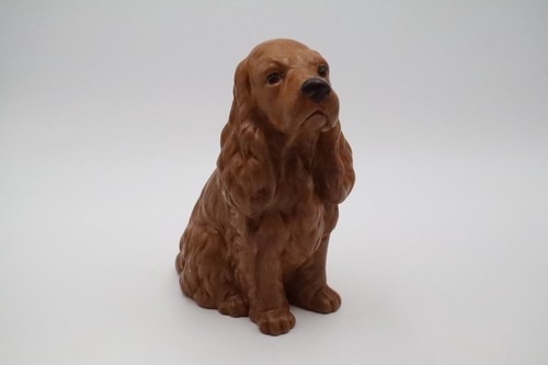 Large brown cocker spaniel - cocker,
