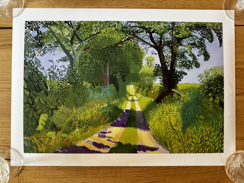 David hockney tunnel - tunnel, summer