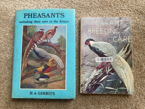 Pheasants aviary gerrits - pheasants,