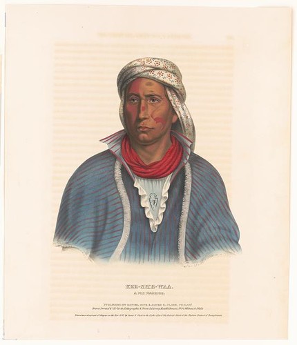 Photo kee she waa - photo:kee-she-waa, fox