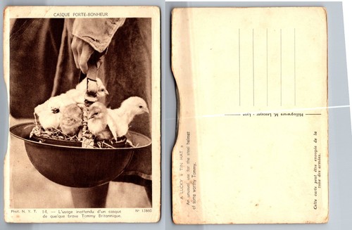 Wwi era lucky helmet chicks - lucky,