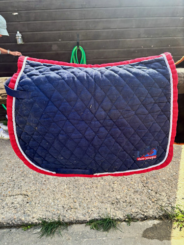 Blue quilted horse - quilted,