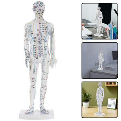Acupuncture and massage - and,