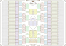 Family Tree Chart - 10 Generation Double Chart (Coloured Boxes 120 G Paper)