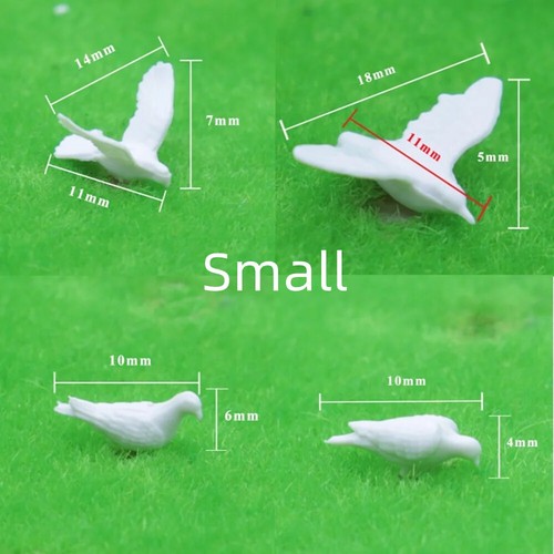 Miniature white pigeons - pigeons, diy