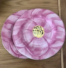 Set Of 2 Desert Rose Plates