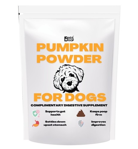 Pumpkin powder for dogs - pumpkin,