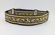 Gold Greyhound Martingale Dog