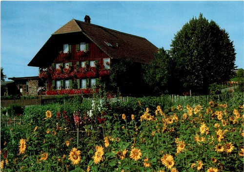 Bauernhaus berner oberland - berner,