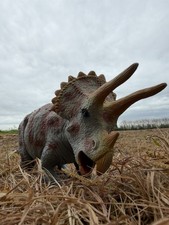 Dinosaur Early Learning Centre
