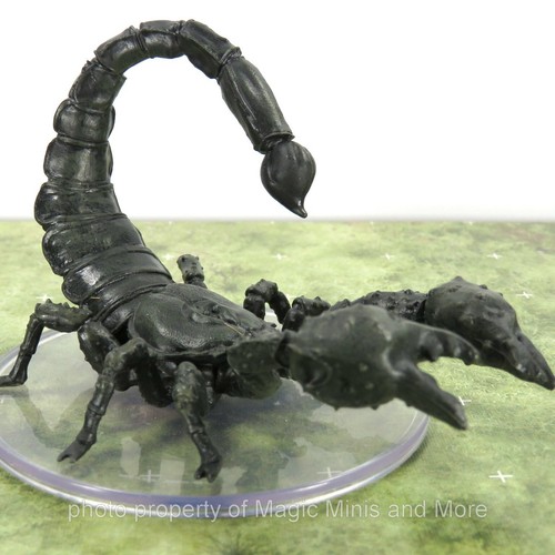 Wild shape polymorph - polymorph, ~