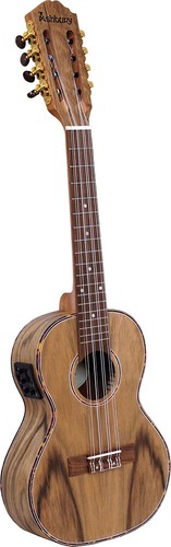 Ashbury string tenor - ashbury,