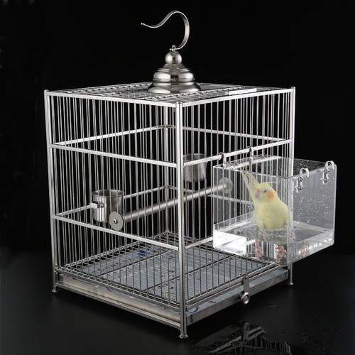 Transparent acrylic parrot - transparent,