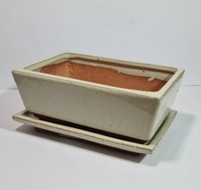 Bonsai Tree Ceramic Dish Bowl